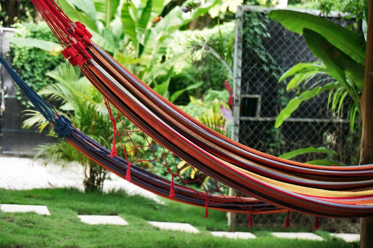 Villa Picasso Playa Santa Teresa  Exteriör bild